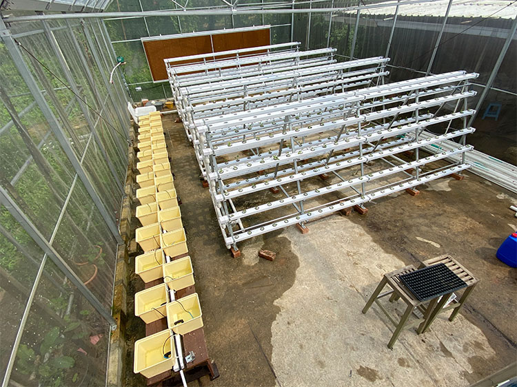 Kunyu Hydroponic System Project In Singapore