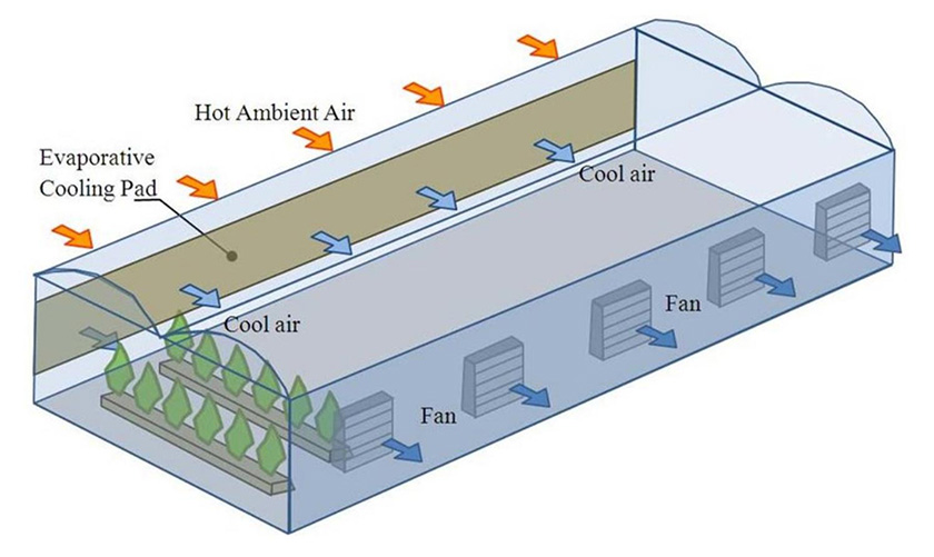 Schematic diagram of greenhouse exhaust fans