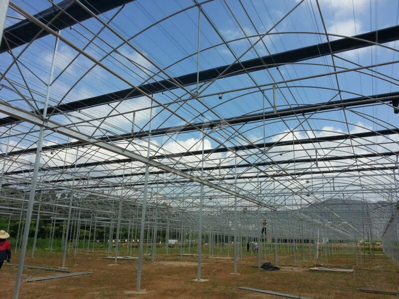 Multi-span Greenhouse