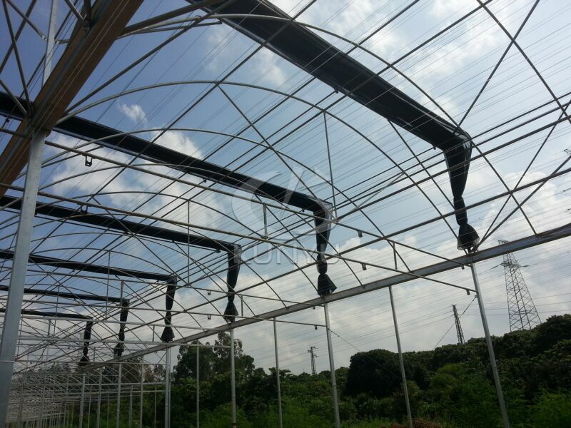 Multi-span Greenhouse