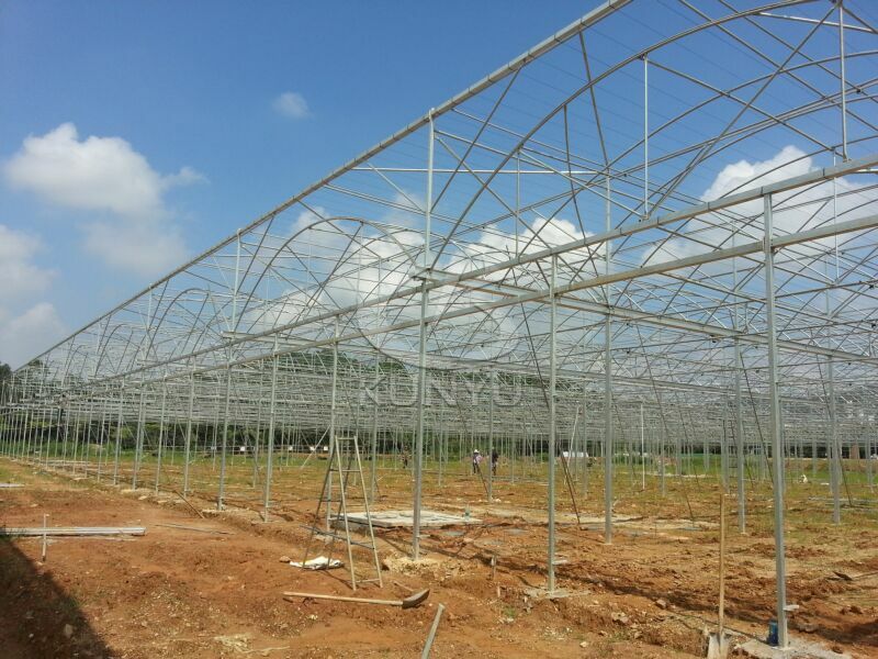 Multi-span Greenhouse