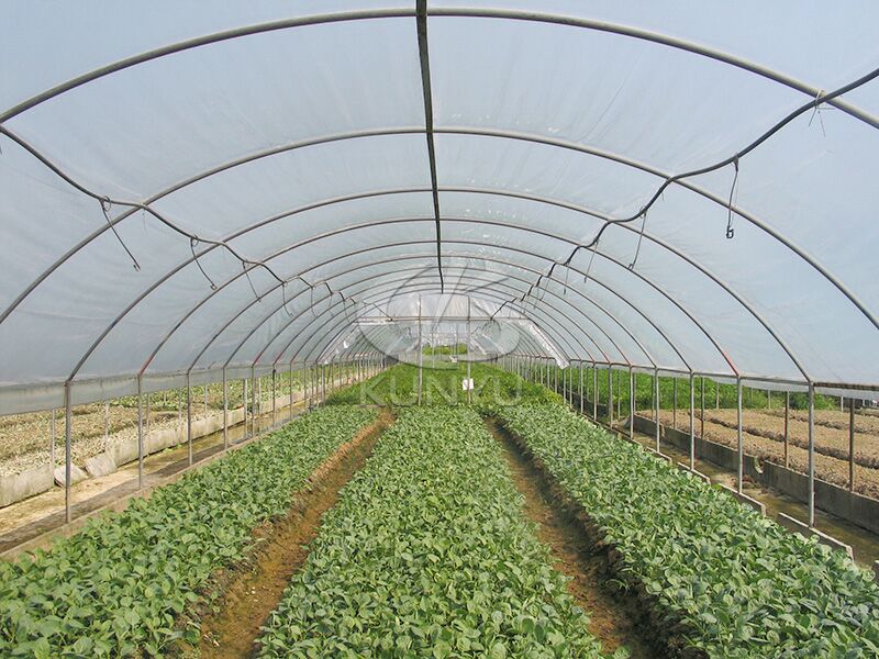 Hoop House