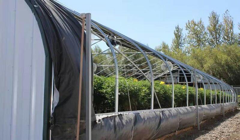 Hoop House