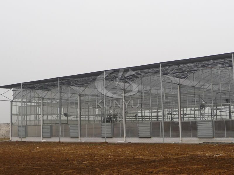 Polycarbonate Greenhouse