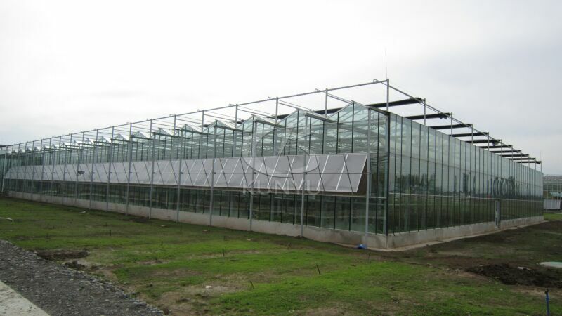 Glass Greenhouse