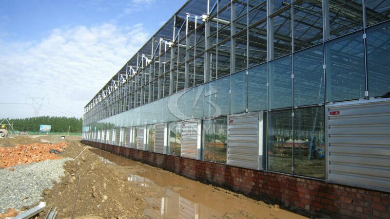 Glass Greenhouse