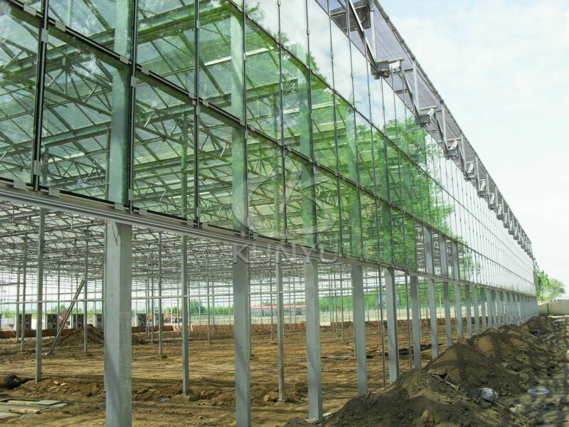 Glass Greenhouse