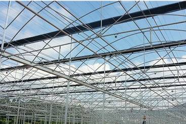 Multi-Span Greenhouse