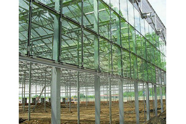 Glass Greenhouses