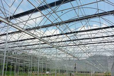 Multi-Span Greenhouse