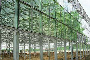 Glass Greenhouse