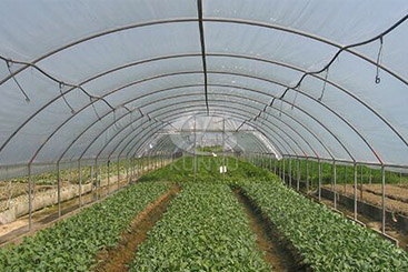 Hoop House