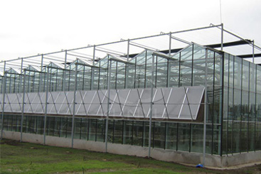 Greenhouse Glass 