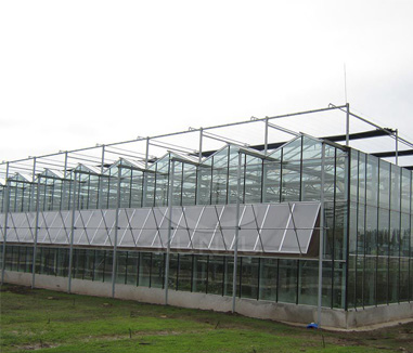 Glass Greenhouse