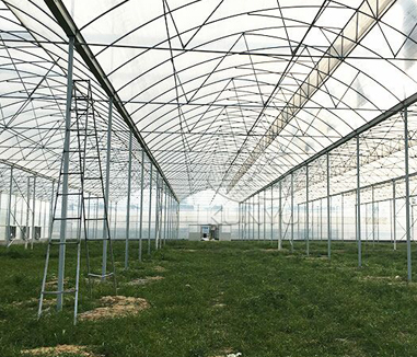 Nursery Greenhouses