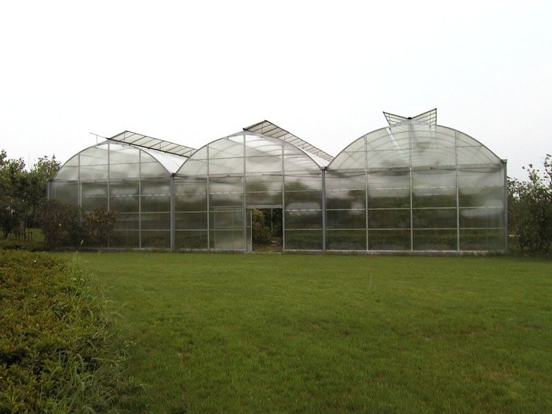 How to Choose Greenhouse Film for High Humidity