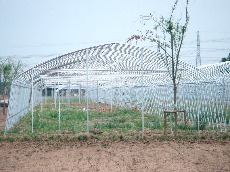 How to Choose Greenhouse Film for High Humidity