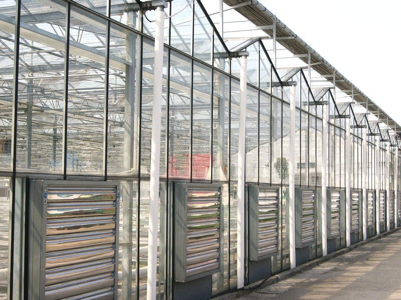 What are the different types of greenhouses?cid=75