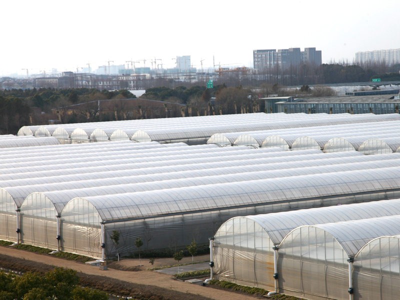 Will greenhouse stay warm in winter?cid=75