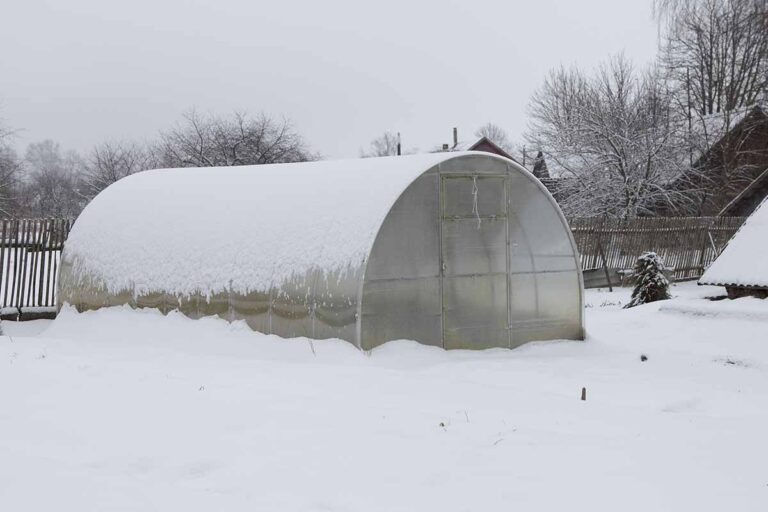 Will a Greenhouse Burn My Plants?cid=75