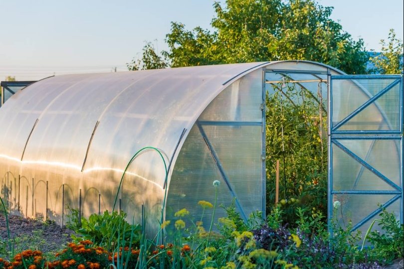 Greenhouse vs Polytunnel: Which Is Better for Your Agricultural Needs?cid=75