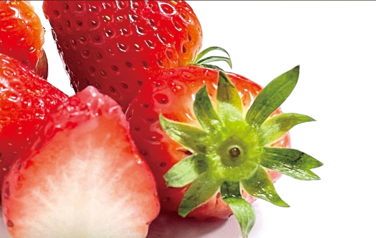Greenhouse Strawberry Varieties: Differences and Growth Analysis