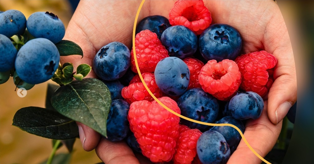 Main Advantages and Challenges of Greenhouse Cultivation