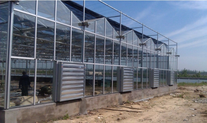 Green Revolution: How Sustainable Greenhouse Technologies Are Reshaping Modern Agriculture in Southeast Asia