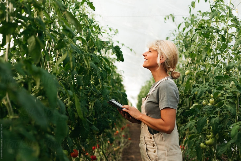 Choosing the Right Greenhouse Supplier: Key Factors for Building Long-Term Partnerships