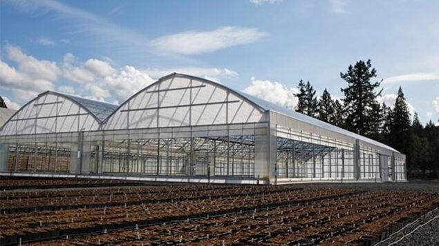 Comprehensive Analysis of Different Types of Agricultural Greenhouses: Pros and Cons
