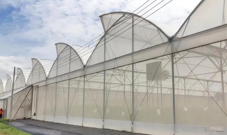 Comprehensive Analysis of Different Types of Agricultural Greenhouses: Pros and Cons