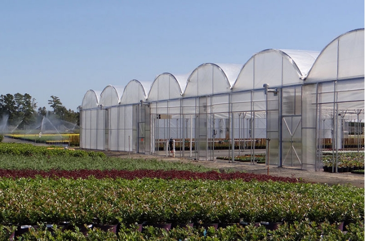 Comprehensive Analysis of Different Types of Agricultural Greenhouses: Pros and Cons