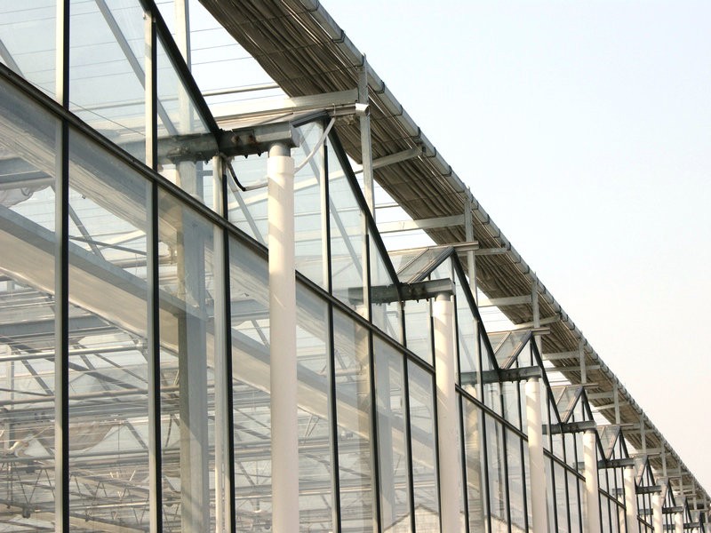 Polycarbonate vs Glass vs Film Greenhouses: Real-World Performance, Cost