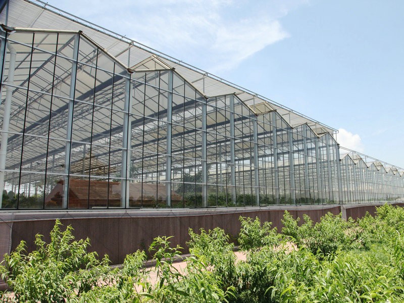 Types of Commercial Greenhouse Builders: Which Structure Solves Your Problem?cid=75