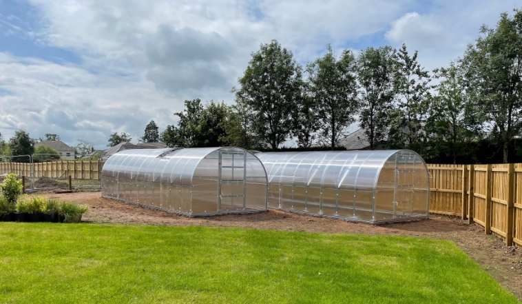 Building a Greenhouse: Choosing the Right Structure for Your Garden