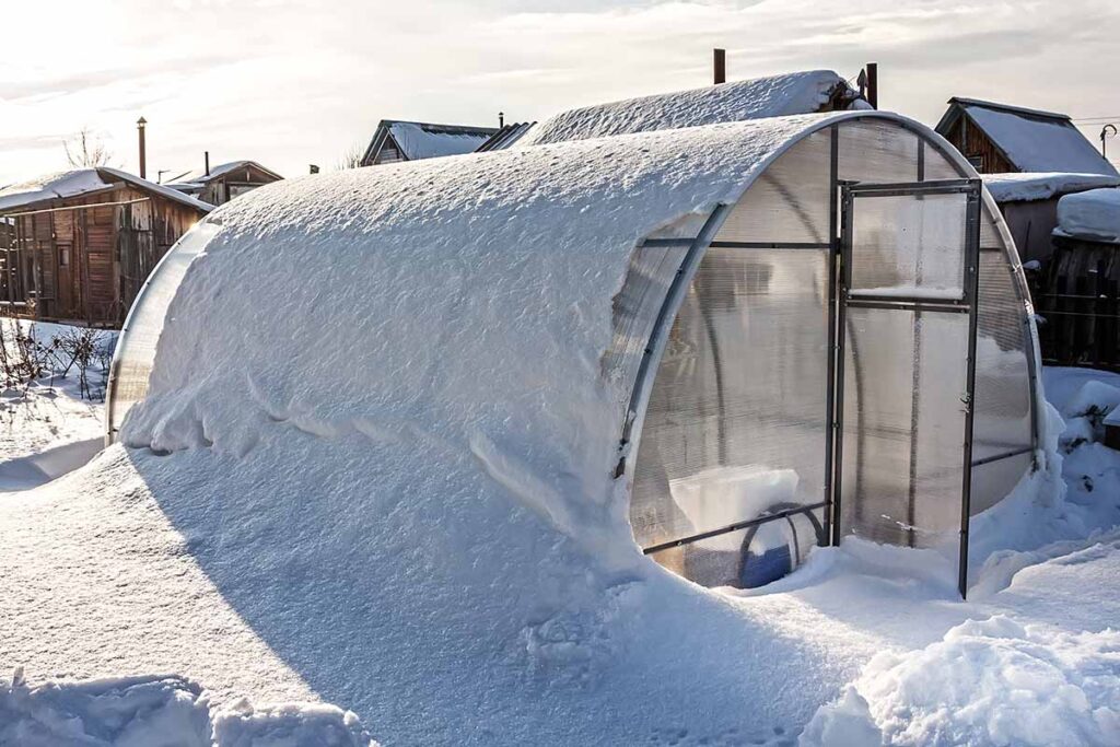 Outdoor Greenhouses vs. Indoor Greenhouses: Which Is Best for You?cid=75