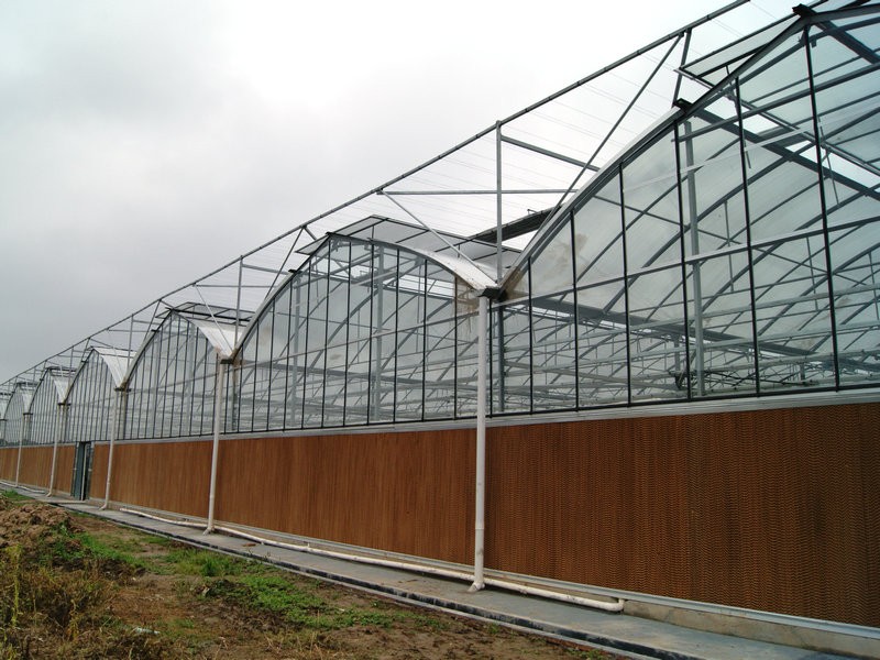 Wholesale Greenhouse Solutions: Bulk Buying Options for Distributors and Growers