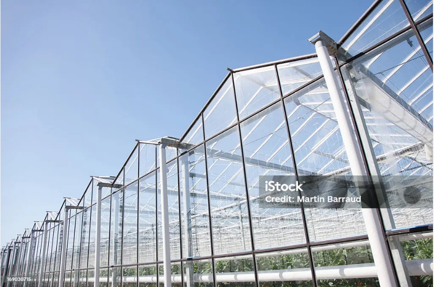 What Is Another Word for Big Greenhouse?cid=75