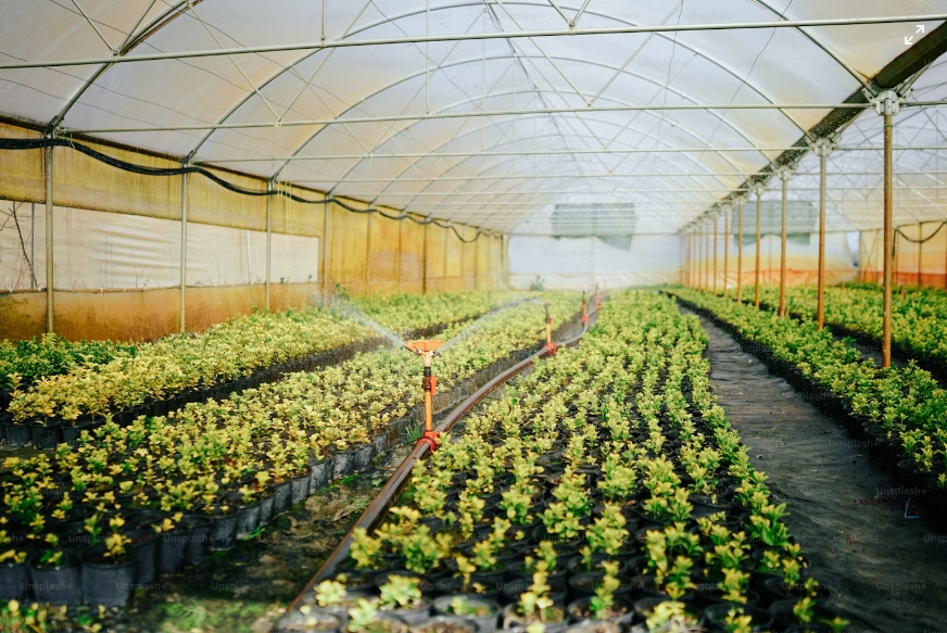 What Is Another Word for Big Greenhouse?cid=75