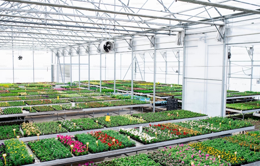 what problem does greenhouse cause?cid=75
