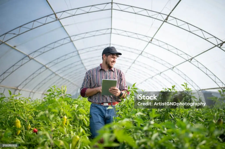 Which Nursery Greenhouse Structure Is Best for Your Plants and Budget?cid=75