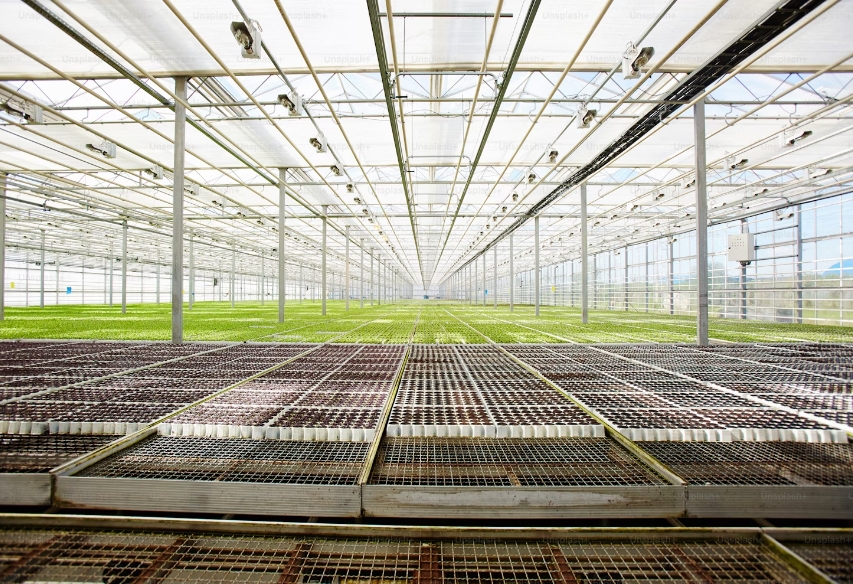 Where is the best place to put a small greenhouse?cid=75