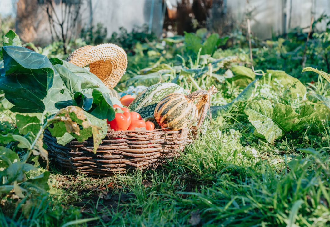 What Is the Longest Lasting Greenhouse Covering?cid=75