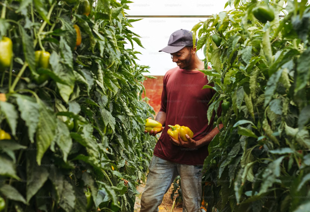 What is the biggest problem with vertical farming?cid=75