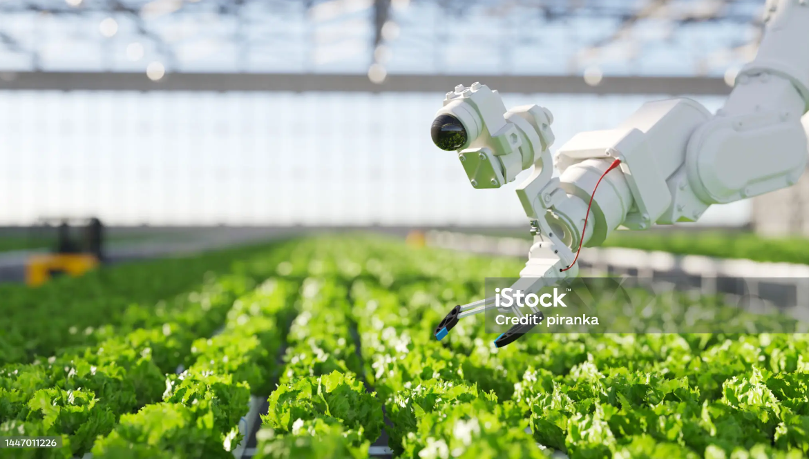 What Is a Smart Greenhouse and How Does It Work?cid=75