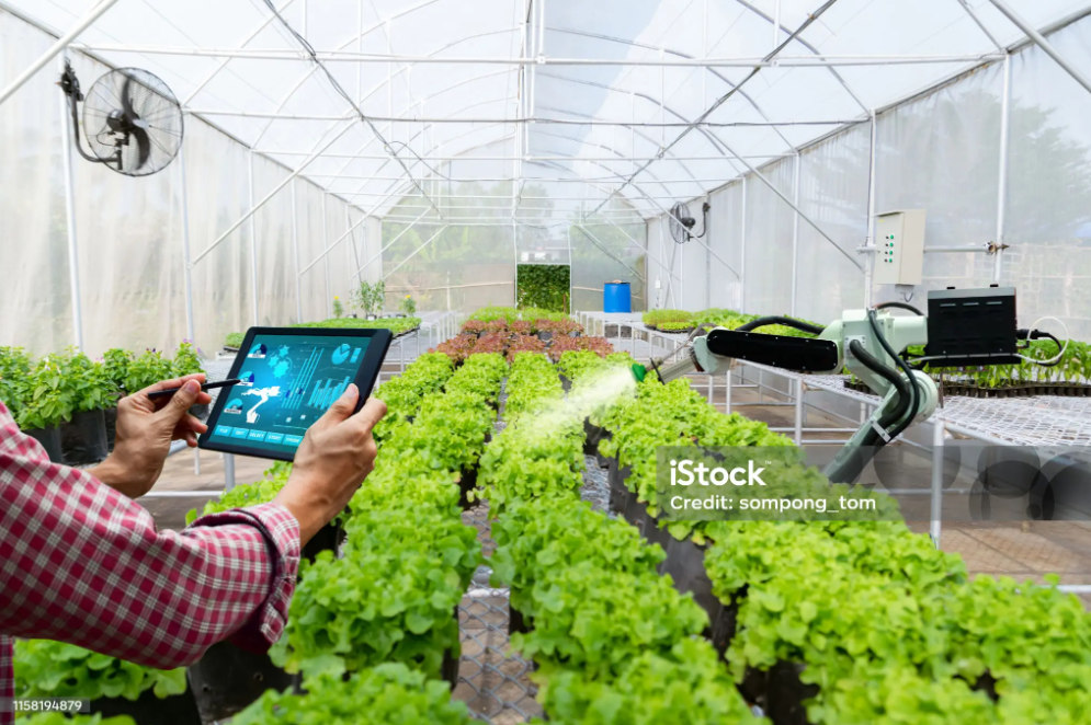 What Thickness Polycarbonate for Greenhouse?