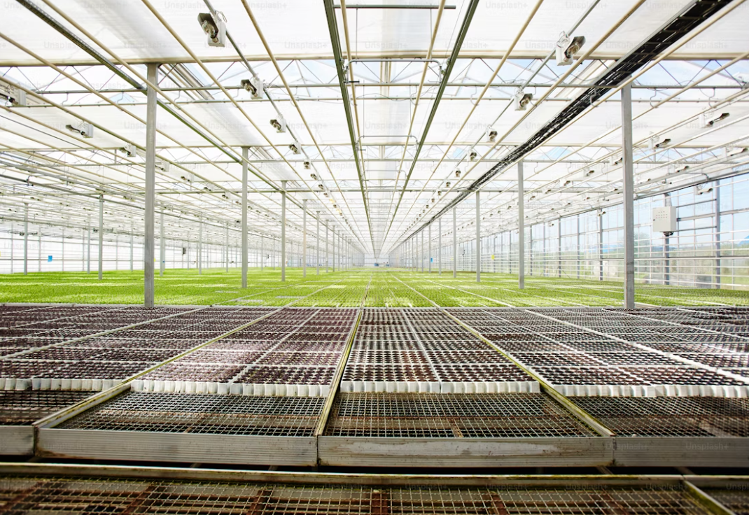 Which Greenhouse Structure Is Most Suitable for High Humidity Climates?cid=75