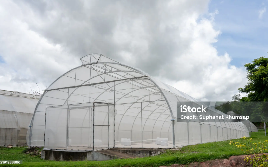 Which Greenhouse Structure Is Most Suitable for Arid Climates?cid=75
