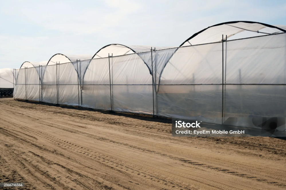 Which Greenhouse Structure Is Most Suitable for Snowy Regions?cid=75