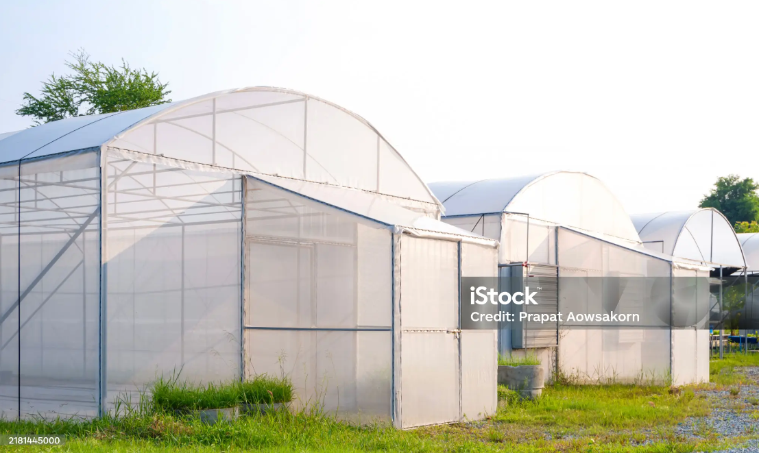 What Services Should You Expect from a Professional Greenhouse Supplier?cid=75